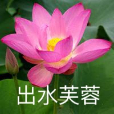 西部传奇