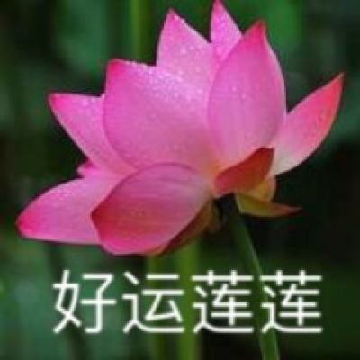雅博app官网入口