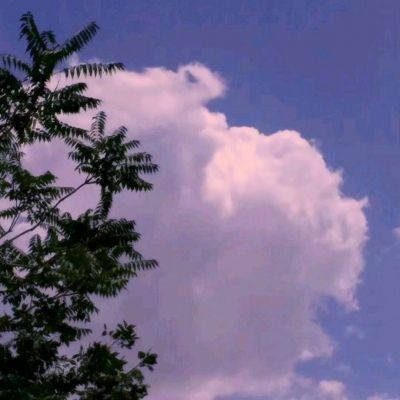 58棋牌全站手机客户端下载(官方)综合娱乐APP下载