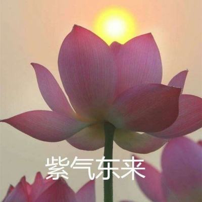 海康存储荣膺2026 CAIMRS工业芯...