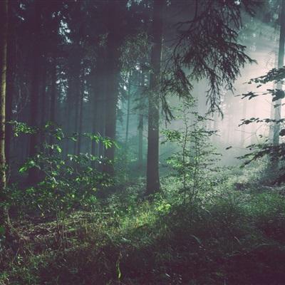 锚定工业AI‘操作系统’，西门子...