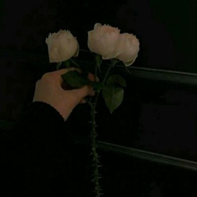 依托近30年全球应用积累，ABB高...