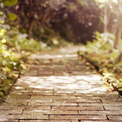 记仇小狗追着医生“骂”了8年