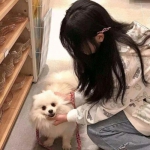 九州网投平台